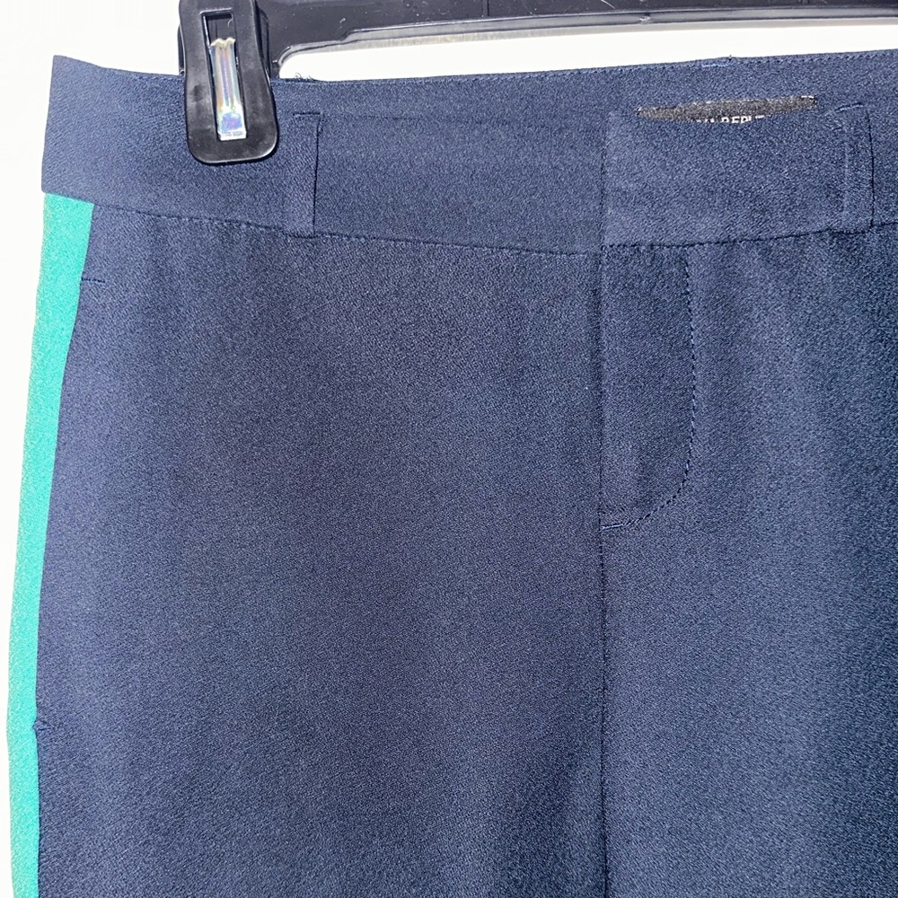 Banana Republic Pants with green Stripe